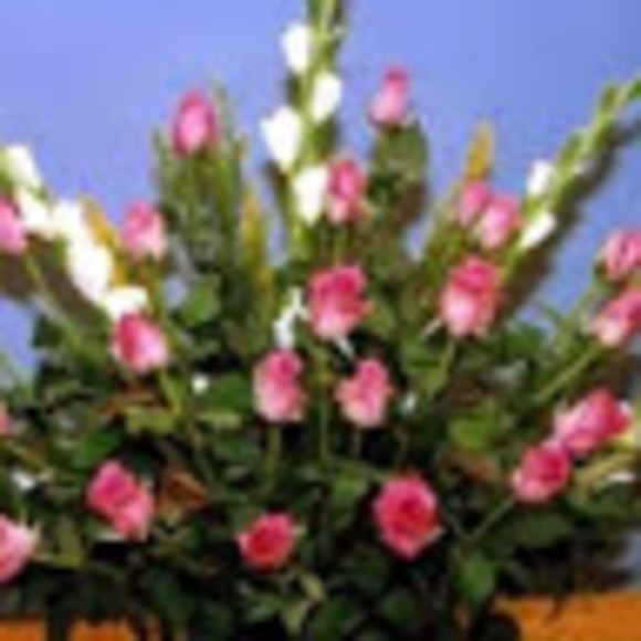 alekhya30091991